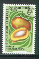 Delcampe - CAMEROUN- Y&T N°446- Oblitéré (fruits) - Kamerun (1960-...)