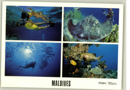Delcampe - AK - Maldives - Mehrbildkarte - 10x 15cm - #AK2863# - Maldiven
