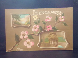 Delcampe - 1699 THEME  . MON  AIMABLE SOURIRE . PAYSAGE . FLEURS . FEMME . - Blumen