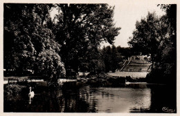 Delcampe - VALENCE, UN COIN DU PARC JOUBERT REF 45490 - Valence