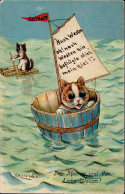 Delcampe - Wain, Louis Katzen Personifiziert 1911 I-II Chat - Wain, Louis