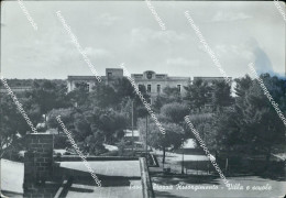 Delcampe - U661 Cartolina Sava Piazza Risorgimento Provincia Di Taranto - Taranto