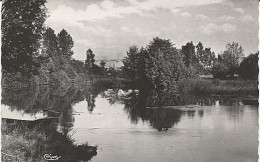 Delcampe - X114542 INDRE LE BLANC VUE SUR LA CREUSE - Le Blanc