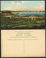 Delcampe - Ceylon Old Postcard Fishing Boats In Harbour, NUTWAL, Colombo, Fishery Fishermen - Sri Lanka (Ceylon)