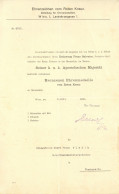 Delcampe - Rotes Kreuz Original-Schriftstück über Die Verleihung Der Bronzenen Ehrenmedaille 1915 - Rode Kruis