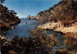 Delcampe - CASSIS SUR MER La Calanque De Port Pin 13(scan Recto-verso) MA1101 - Cassis