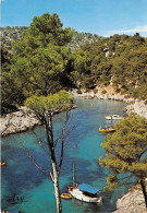 Delcampe - Pres De CASSIS PORT PIN 8(scan Recto-verso) MA1100 - Cassis