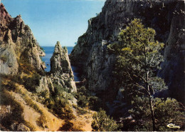 Delcampe - CASSIS La Calanque D EN VAU 21(scan Recto-verso) MA1101 - Cassis