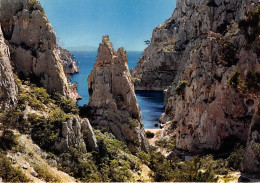 Delcampe - CASSIS SUR MER Calanque D En Vau 5(scan Recto-verso) MA1100 - Cassis