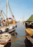 Delcampe - SETE Le Port 23(scan Recto-verso) MA1137 - Sete (Cette)