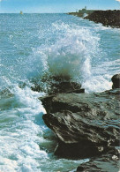 Delcampe - LE CAP D AGDE Coup De Vague 19(scan Recto-verso) MA1137 - Agde