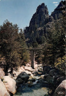 Delcampe - Environs De CORTE La Restonica Pont De Tragone 3(scan Recto-verso) MA1164 - Corte