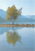 Delcampe - LAC D Annecy7(scan Recto-verso) MA1156 - Annecy