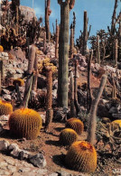 Delcampe - EZE VILLAGE Le Jardin Exotique 9(scan Recto-verso) MA1180 - Eze