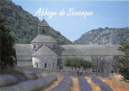 Delcampe - GORDES L Abbaye De Senanque 20(scan Recto-verso) MA1167 - Gordes