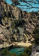 Delcampe - CASSIS La Calanque D'en Vau 21 (scan Recto-verso) MA1166Bis - Cassis