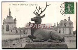 Delcampe - CPA Chateau De Chantilly Cerf Par Cain - Chantilly