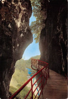 Delcampe - Environs Du LAC D ANNECY Les Gorges Du Fier 21(scan Recto-verso) MA1194 - Annecy