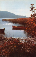 Delcampe - Automne Sur Le Lac D ANNECY Au Fond La Visitation 12(scan Recto-verso) MA1194 - Annecy