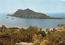 Delcampe - RAMATUELLE CAP CARTAYA 10(scan Recto-verso) MA1192 - Ramatuelle