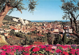 Delcampe - VALLAURIS Centre Mondial De La Poterie Provencales Vue Generale 21(scan Recto-verso) MA1185 - Vallauris