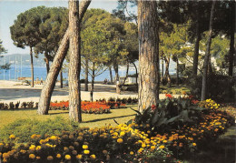 Delcampe - JUAN LES PINS La Pinede 6(scan Recto-verso) MA1185 - Juan-les-Pins