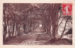 Delcampe - 28 -  Foret De CHATEAUNEUF En THYMERAIS - Allée Des Soupirs - Châteauneuf