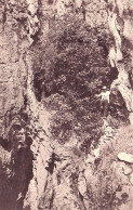 Delcampe - Viroinval -  Vallée Du Viroin - NISMES - Puits Naturels Des Abanets - Viroinval