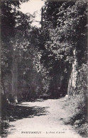 Delcampe - 95 -  MONTSOULT -  Le Pont D'Arcole - Montsoult