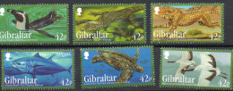 Delcampe - Gibraltar 2013 Espèces Menacées- Endangered Animals   XXX - Gibraltar