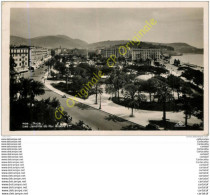 Delcampe - 06.  NICE .  Les Jardins Du Roi Albert 1er . - Sonstige & Ohne Zuordnung