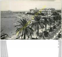 Delcampe - 83.  SAINT RAPHAEL .  Vue Prise De L'Hôtel Des Algues . - Saint-Raphaël