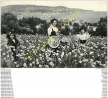 Delcampe - 06.  NICE .  La Cueillette Des Oeillets . - Sonstige & Ohne Zuordnung