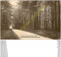 Delcampe - 60.  PONT SAINTE MAXENCE .  Forêt D'Halatte .  Près Du Mont Pagnotte . - Pont Sainte Maxence