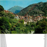 Delcampe - 06.  SAINT MARTIN VESUBIE .   Vue Géénrale . - Saint-Martin-Vésubie