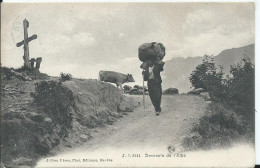 Delcampe - SUISSE - Descente De L'Alpe - Brigue-Glis 