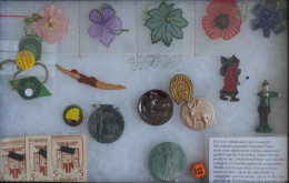 Delcampe - WHW Abzeichen, Sortiert Nach Gauen Und Motiven In Einer Schachtel Mit Glasdeckel Ca. 21x31 Cm - Guerre 1939-45
