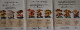 Delcampe - WHW Gau Pommern, 24 Pilz-Abzeichen - Guerre 1939-45