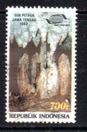 Delcampe - INDONESIA INDONÉSIE 1993 TOURISM CAVE FORMATIONS 700r USED USATO OBLITERE' - Indonesien