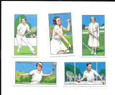 Delcampe - Y894 - VIGNETTES GALLAHER - TENNIS - MARGARET SCRIVEN - DAN MASKELL - MARY HEELEY - HARRY LEE - DOROTHY ROUND - Trading Cards