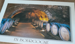 Delcampe - CPA CPSM REGION  BOURGOGNE   PLAISIR DE VISITER NOS CAVES  NON ECRITE - Bourgogne