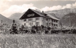 Delcampe - DOUSSARD Hotel De L Arcalod 32(scan Recto-verso) MA1222 - Doussard
