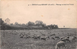 Delcampe - Epinay Sous Senart Paturage Au Bord De L Yerres 1(scan Recto-verso) MA1217 - Epinay Sous Senart