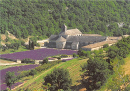 Delcampe - Abbaye Notre Dame De Senanque GORDES Monastere Cistercien Vue Generale 9(scan Recto-verso) MA1262 - Gordes