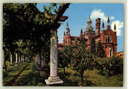 Delcampe - AK - Pavia - Centosa Di Pavia - Parte Absidale Vista Das Pergolato - 10x 15cm - #AK2882# - Pavia