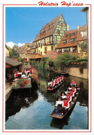 Delcampe - Musique Et Folklore COLMAR Holatrio Hop Sasa 12(scan Recto-verso) MA1274 - Colmar