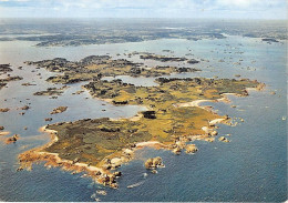 Delcampe - ILE DE BREHAT Vue Generale 21(scan Recto-verso) MA1269 - Ile De Bréhat