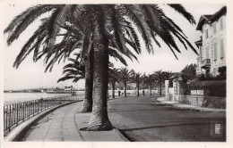Delcampe - SAINT RAPHAEL Le Boulevard Felix Martin 4(scan Recto-verso) MA1293 - Saint-Raphaël
