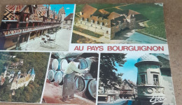Delcampe - CPA CPSM REGION  BOURGOGNE    AU PAYS   BOURGUIGNON DIVERS VUES  ECRITE - Bourgogne