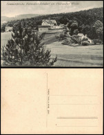 Delcampe - Ansichtskarte Herrndorf-Halsbrücke Stadt Und Restaurant 1912 - Hetzdorf
